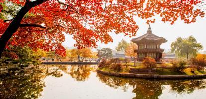Autumn leaves at Gyeongbokgung Palace in Seoul