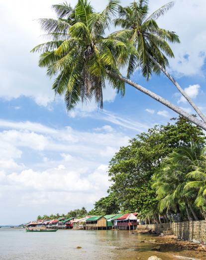 Beach with palm trees at Kep