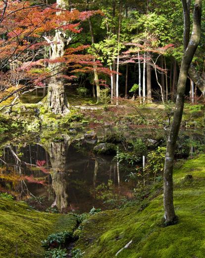Saihoji moss garden in Kyoto