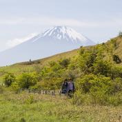 People walking through field with Mount Fuji in the background