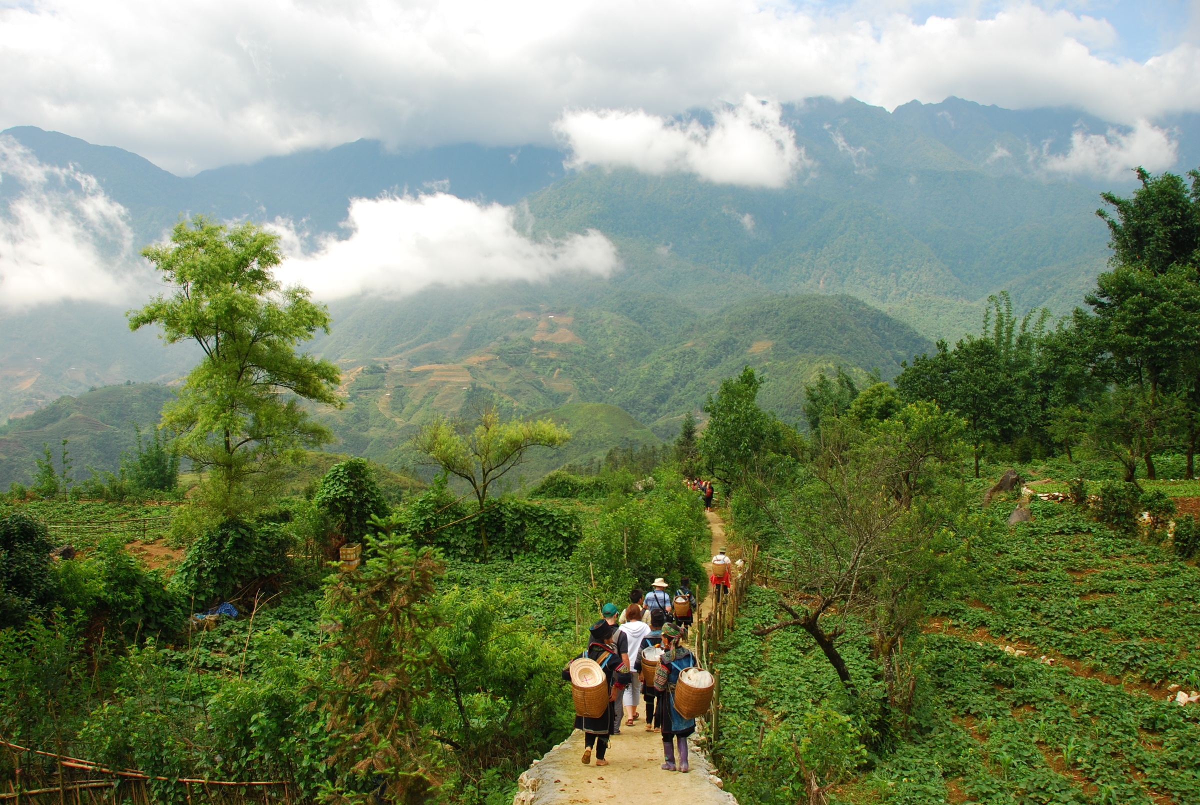 Top 3 Places To Hike In Northern Vietnam On And Off The Beaten Track