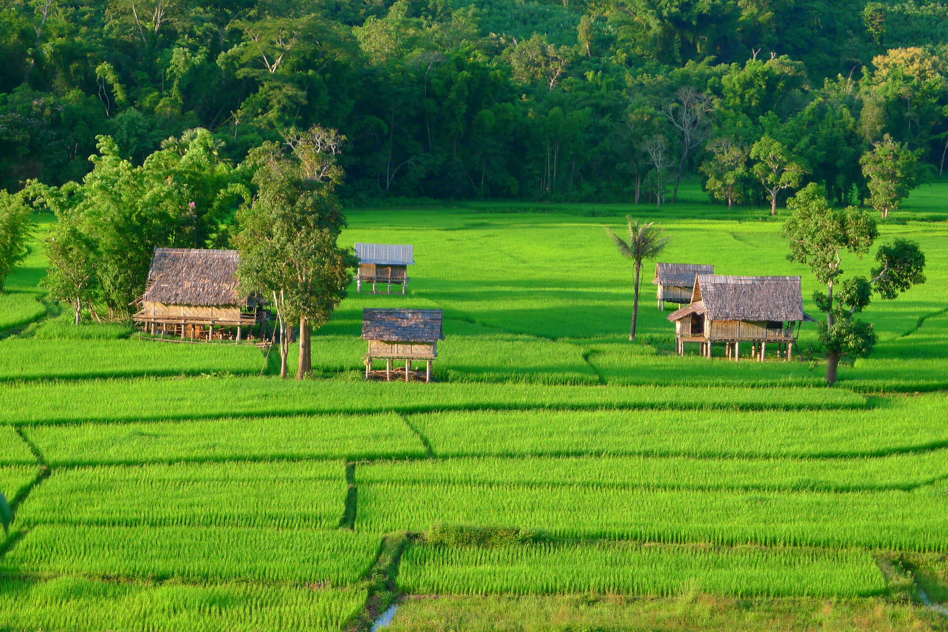 Explore Muang La 2024/2025 - Rural Laos | InsideAsia Tours
