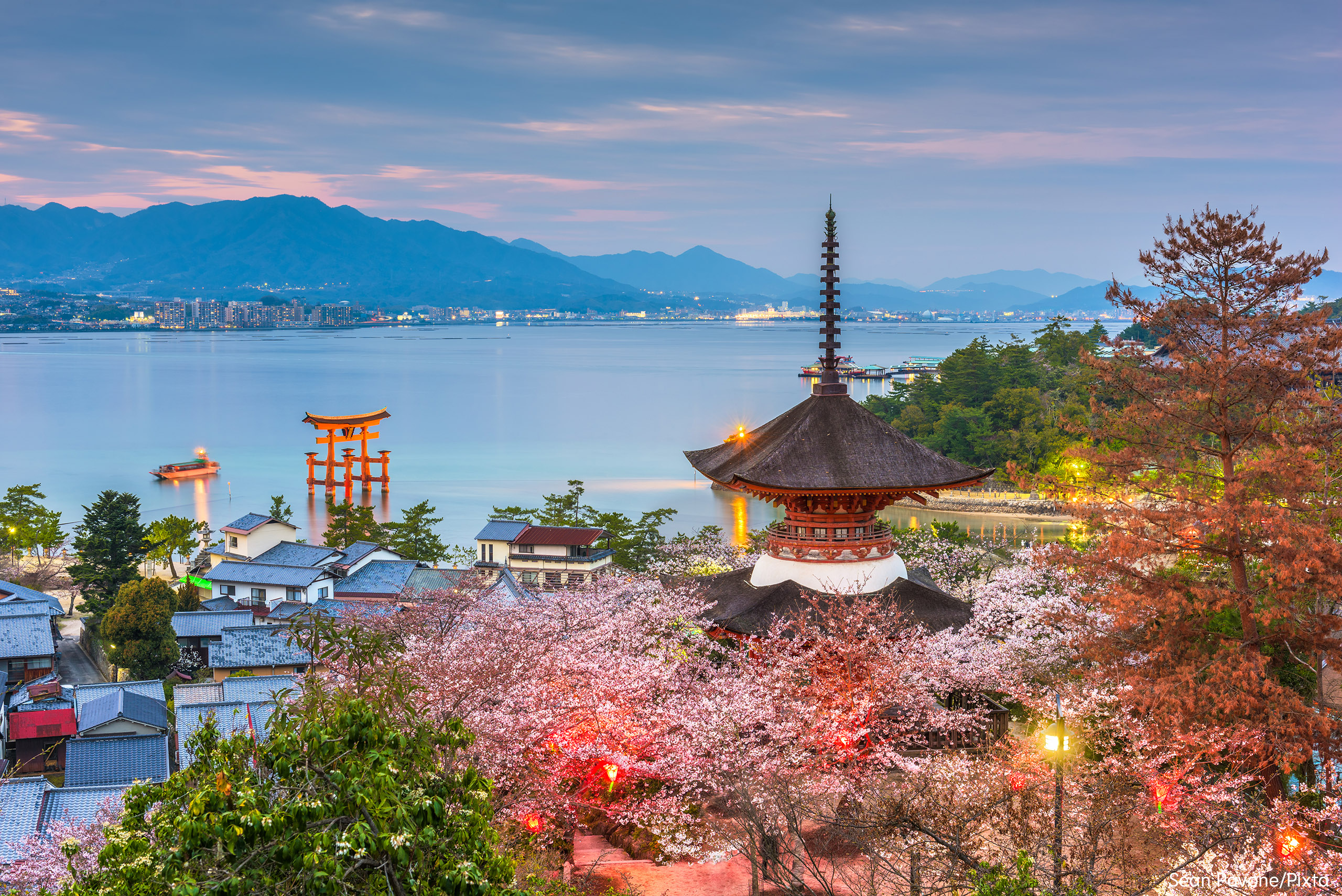 Spring Delight: Explore Japan Through These Stunning Cherry