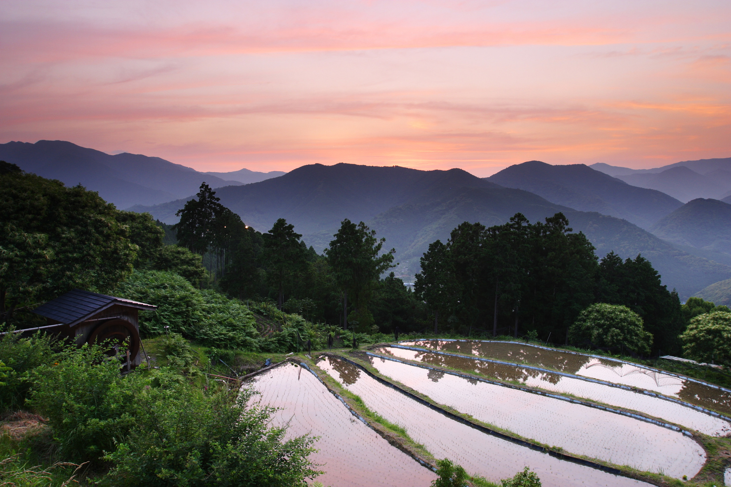 Игра japan rural. Кумано Япония. Кумано кодо. Тропа пилигримов Япония. Горы Кумано.