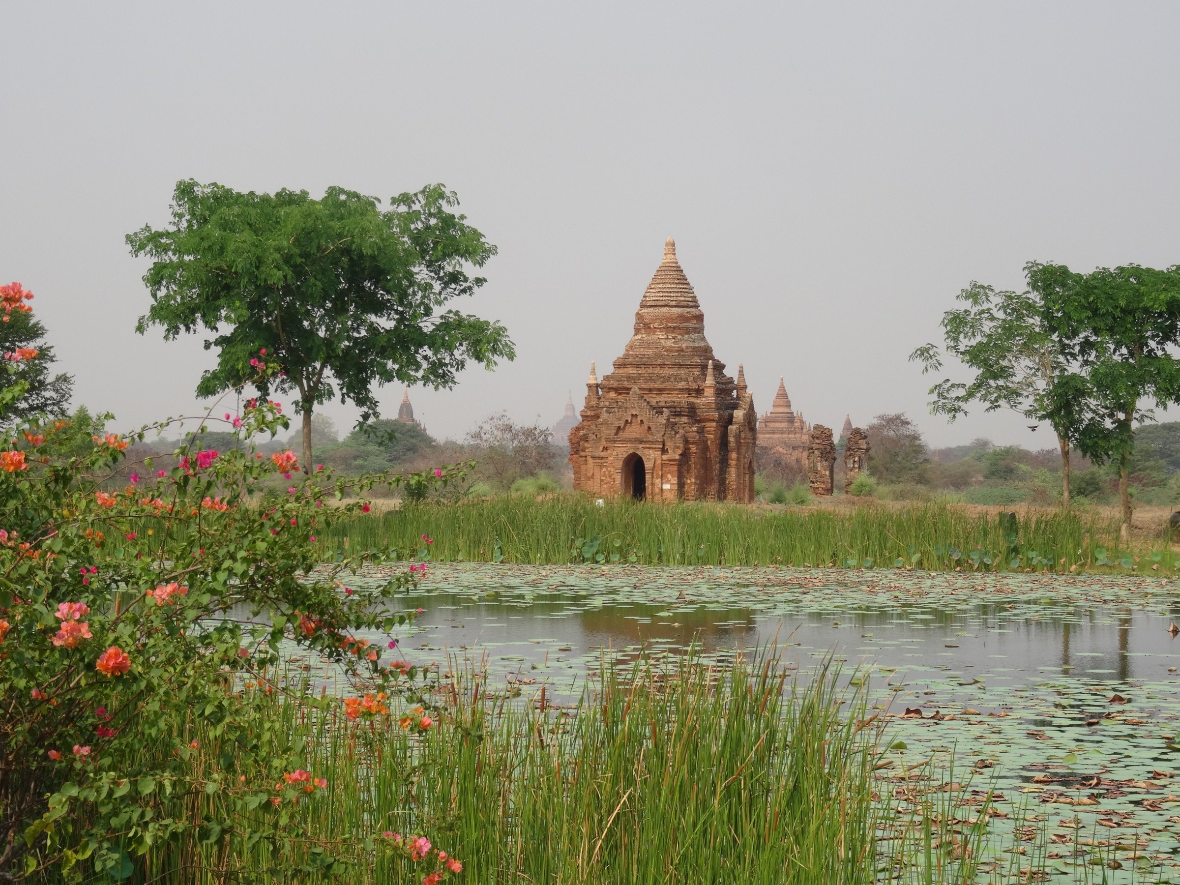 Even arid Bagan can be lush during the green season