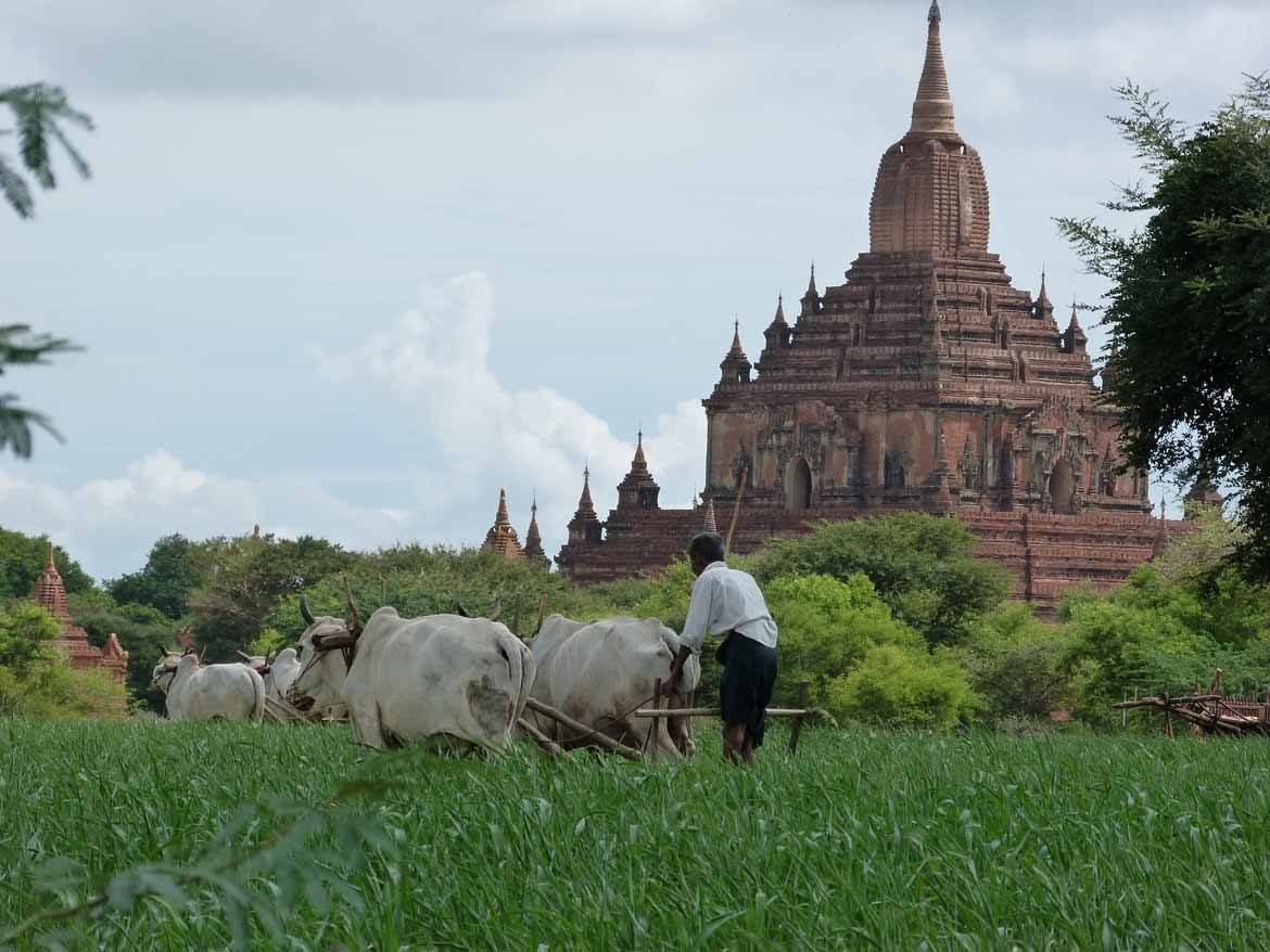 Bagan 029