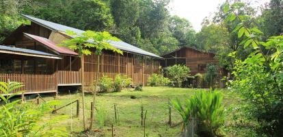 Cabin in the jungle, home to an Iban Tribe family