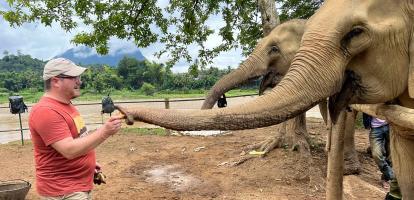 Tourist feeds elephant at a prudent distance in Laos