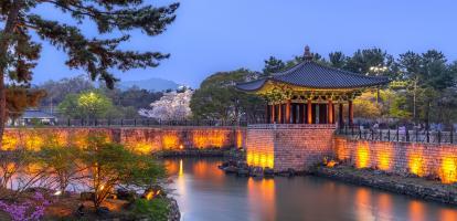 Night lights and flowers surround the pagoda of Wolji pod in Gyeongju, South Korea