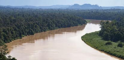 Curves along the meandering Kinabatangan river in Malaysian Borneo
