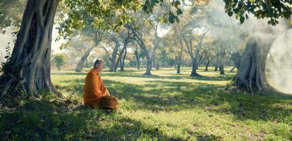 Monk meditating underneath tree in garden in Laos