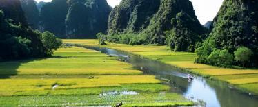 Rice paddies and mountains of Ninh Binh