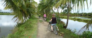 Cycling along the banks of the Thu Bon River near Hoi An