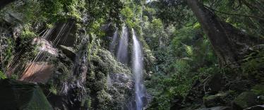 Belum Rainforest waterfall