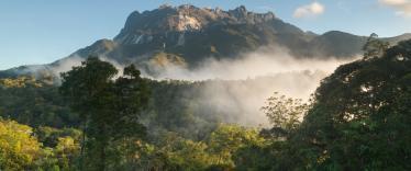 View of Mt Kinabalu from Kinabalu Park