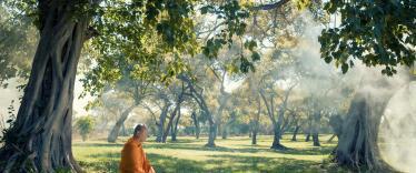 Monk meditating underneath tree in garden in Luang Prabang