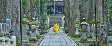 Monk in yellow clothes walking along pathway in Koya