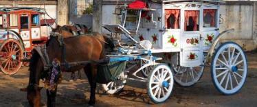 Horse &amp; cart in Pyin Oo Lwin