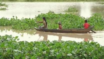 Boating along