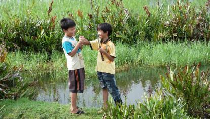 Try your hand at farming in the countryside around Hanoi