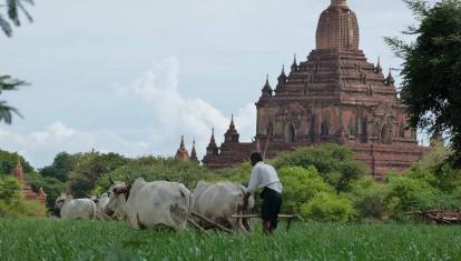 Bagan 029