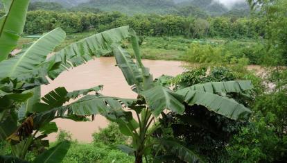 Shangri Lao Elephant Camp (10)