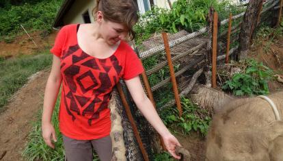 Meet the elephants in Sayaboury, Laos