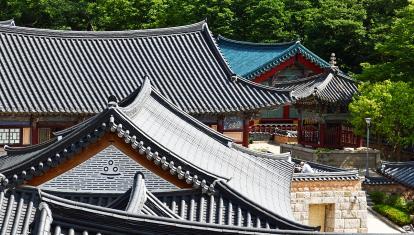 Traditional Korean roofs surrounded by green forest in a temple complex in South Korea