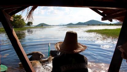 CAMBODIA-EXPERIENCE-HERO-Kampot-water-buffalo-