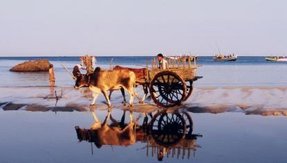 Beach trekking