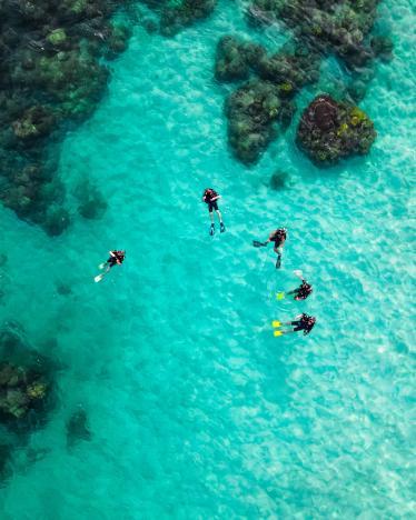 Diving in Gaya Island