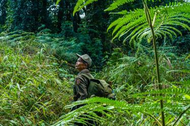 Man trekking through the forest of Nam Et-Phou Louey