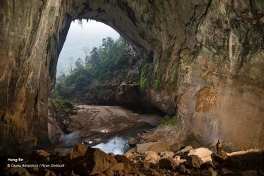 Phong Nha caves