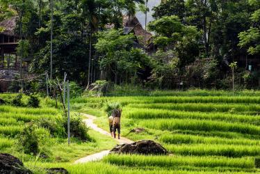 Trekking in Pu Luong