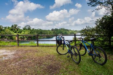 Two bicycles propped up next to fence overlooking lake in Pulau Ubin