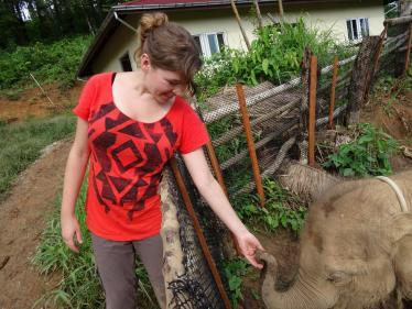 Meet the elephants in Sayaboury, Laos