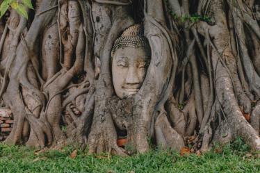 Buddha statue peeks through Banyan tree roots in Ayutthaya historical park