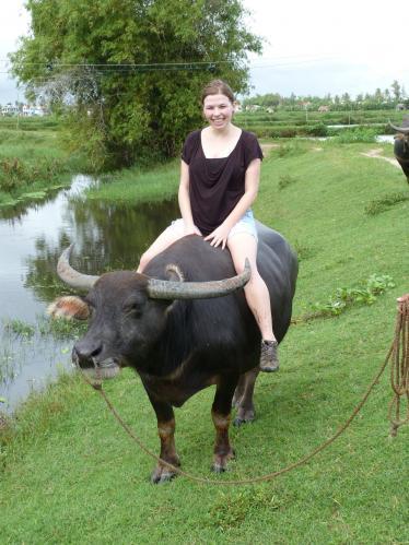 Riding a buffalo